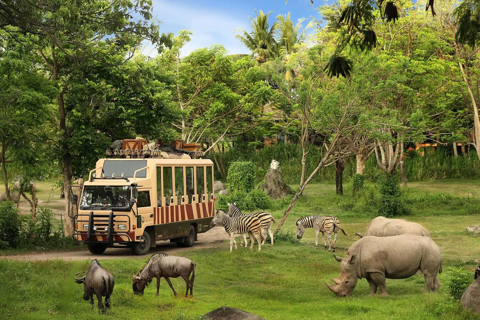jungle hopper bali safari park